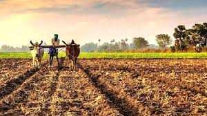 लोकसभा चुनावों से पहले न किसानों के मुद्दों का शोर है, न व्यापारियों की परेशानी पर बात