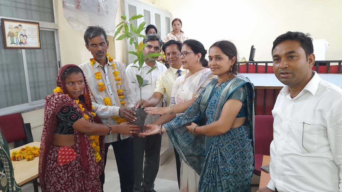 नेशनल लोक अदालत, निपटे 408 मामलें