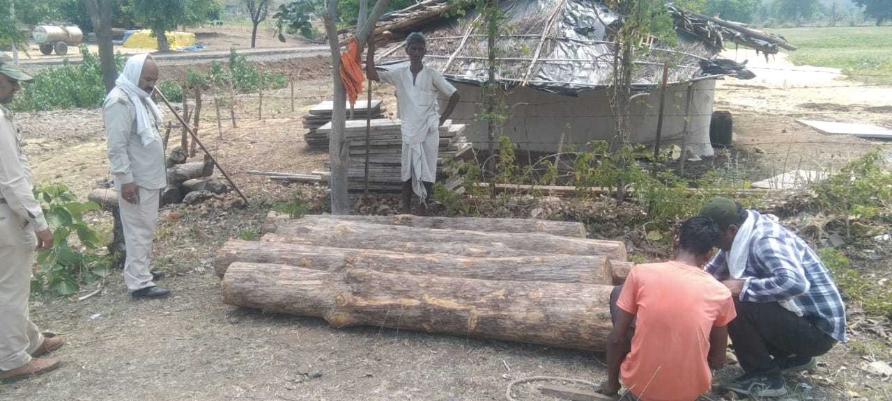 5 नग अवैध सागौन जब्त