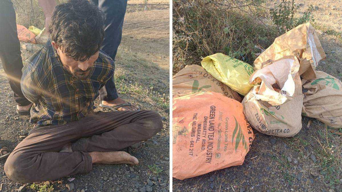 देवास में गोवध का मामला, मांस की तस्करी के पहले पकड़ाया तस्कर, लोगों ने की पिटाई