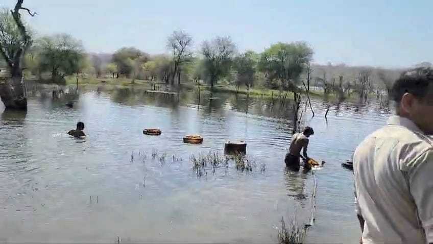रावत पलासिया में हुई घटना के बाद तीन विभाग ने सयुक्त रूप से की जंगलों में कच्ची शराब पर कार्यवाही