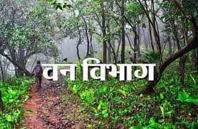 वन विभाग के प्रयासों का असर, गर्मी में आबादी क्षेत्र में नहीं आ रहे जानवर, जंगलों में बनाए जलकुंड