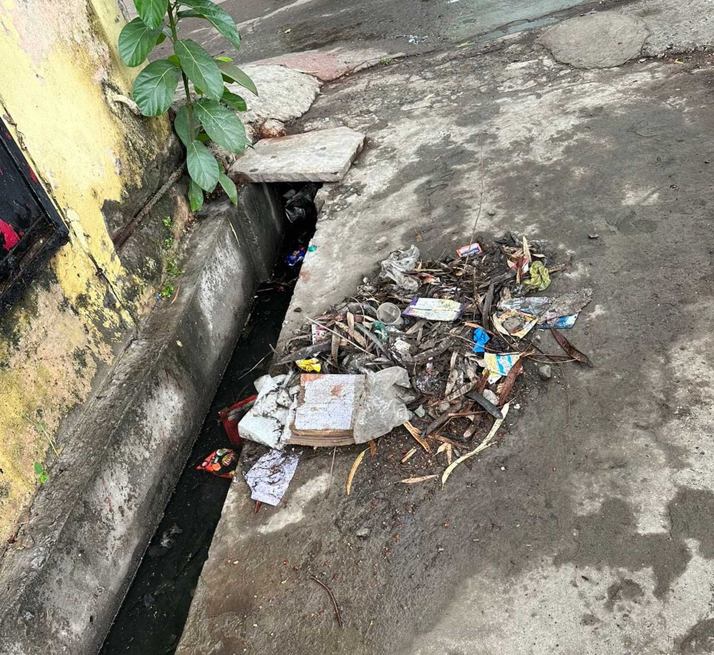 सप्ताह भर तक नहीं उठता कचरा, गदंगी और समस्याओं से वार्डवासी परेशान