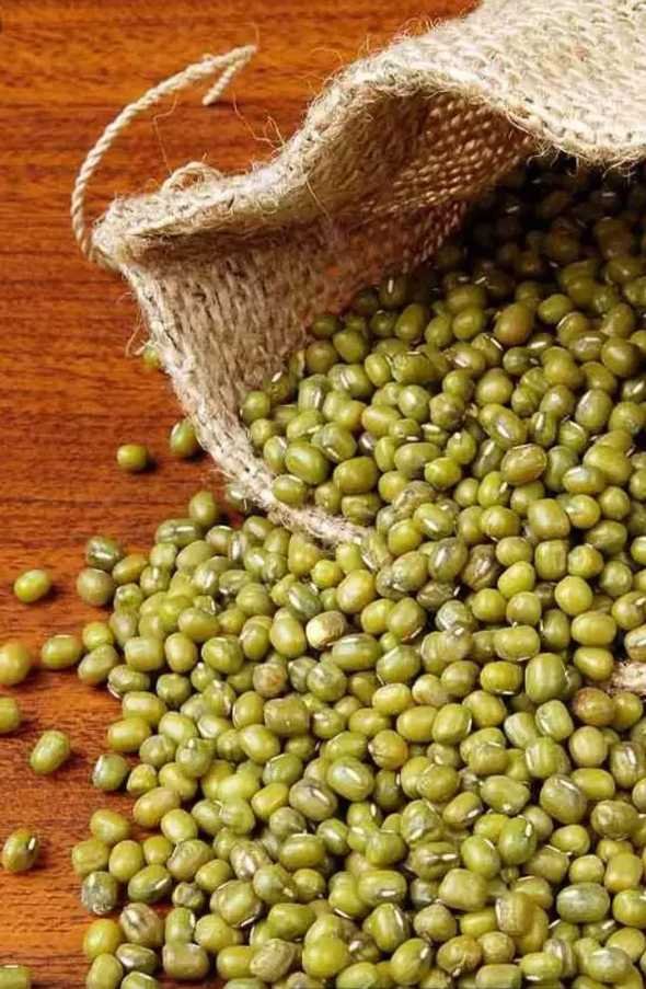 समर्थन मूल्य मूंग खरीदी पर बिचौलियों की नजर