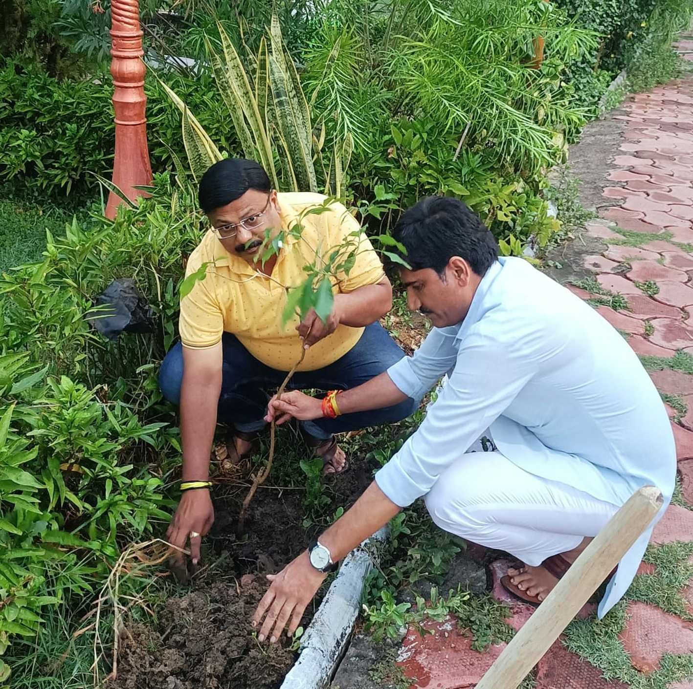 पौधरोपण कर मनाया प्रदेश अध्यक्ष का जन्मदिन  