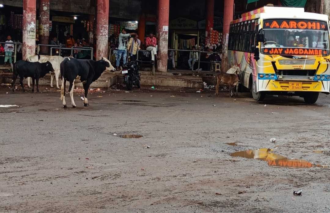 लापरवाही नगर पालिका का खामियाजा उठा रहे यात्री