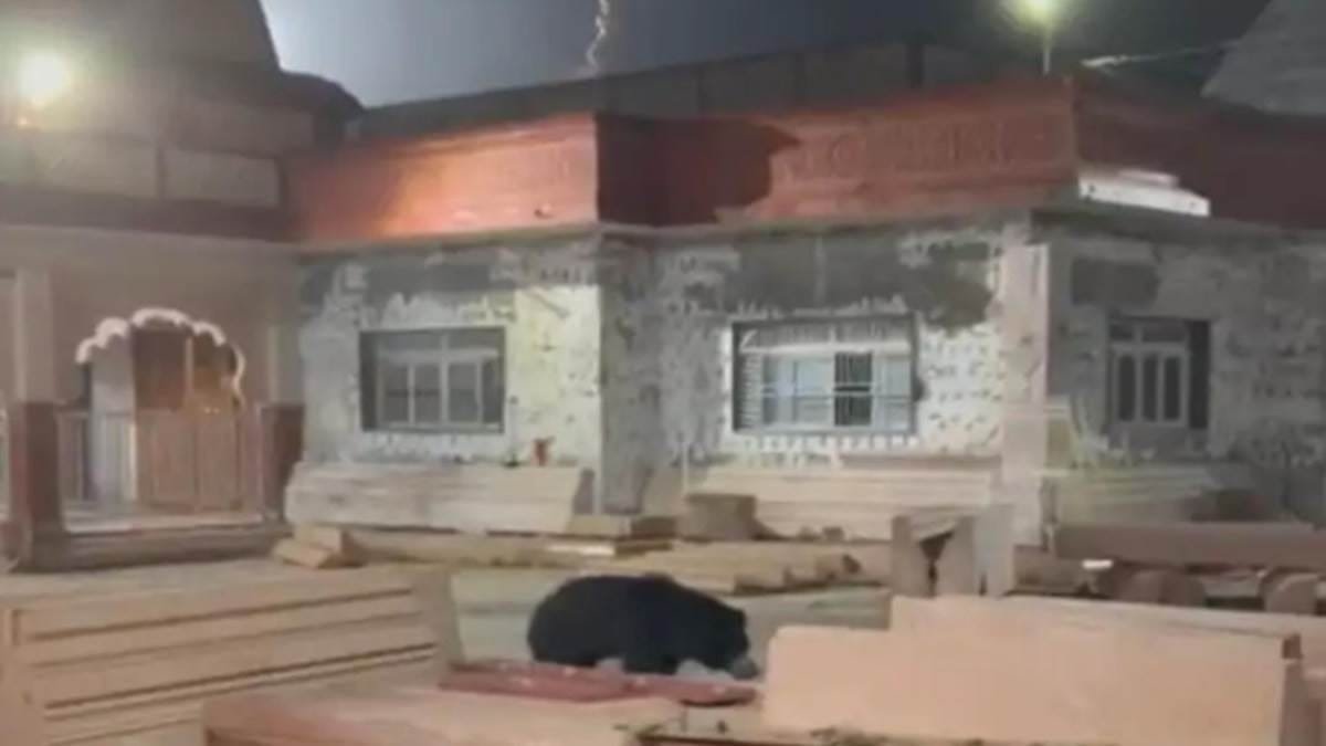 सलकनपुर के विजयासन देवी मंदिर में नजर आया भालू, सुरक्षाकर्मी ने कुत्ते की मदद से भगाया