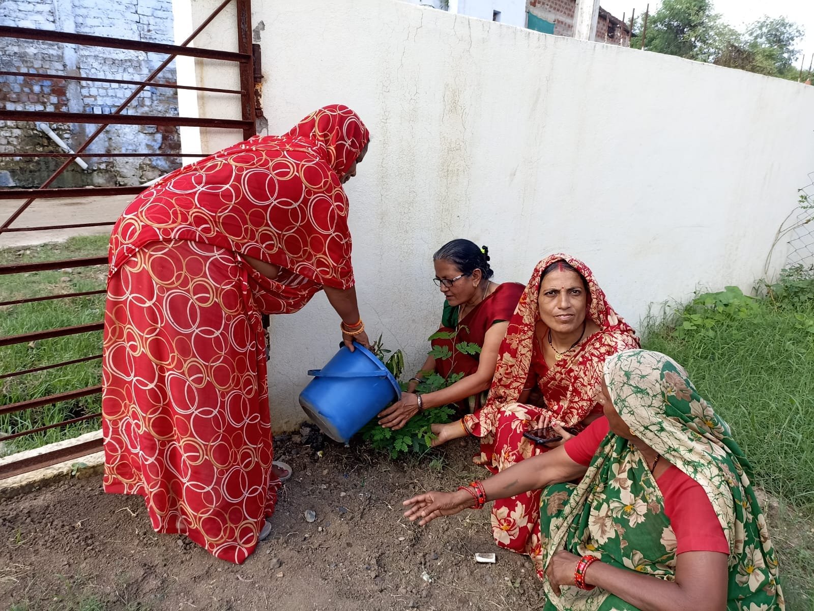 ‘एक पेड़ मां के नामÓ अभियान में हरदा प्रदेश में अव्वल