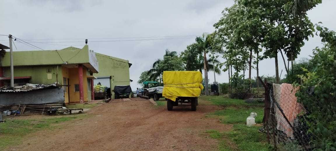 छुट्टी के दिन भी तुली मूंग, नहीं रखा जा रहा गुणवत्ता का ध्यान