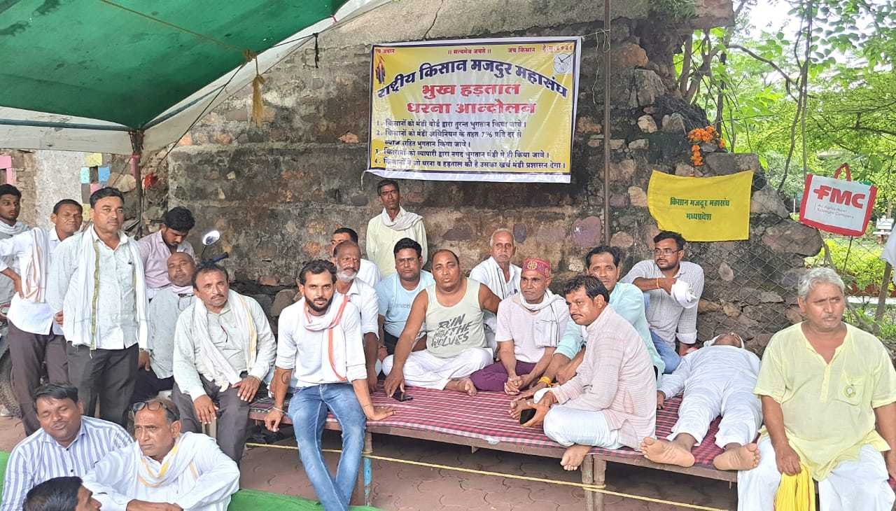 202 किसानों ने बेचा डालर चना,व्यापारी ने नही चुकाई चार करोड़ से अधिक की राशि