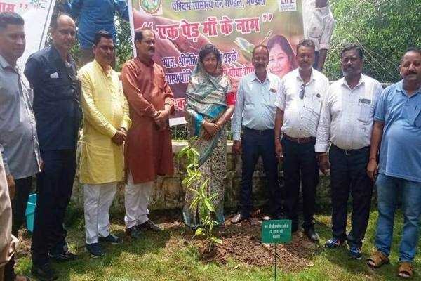 मंत्री संपतिया उइके ने एकादशी के अवसर पर ’एक पेड़ मां के नाम’ वृक्षारोपण किया