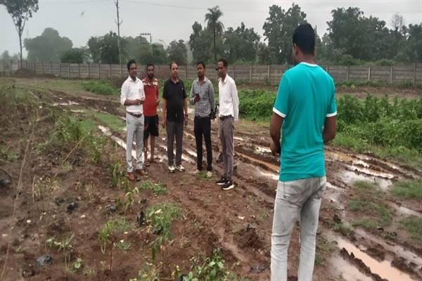 जिला पंचायत सी.ई.ओ ने किया मियावाकी पद्धति से पौधरोपण कार्य का निरीक्षण 