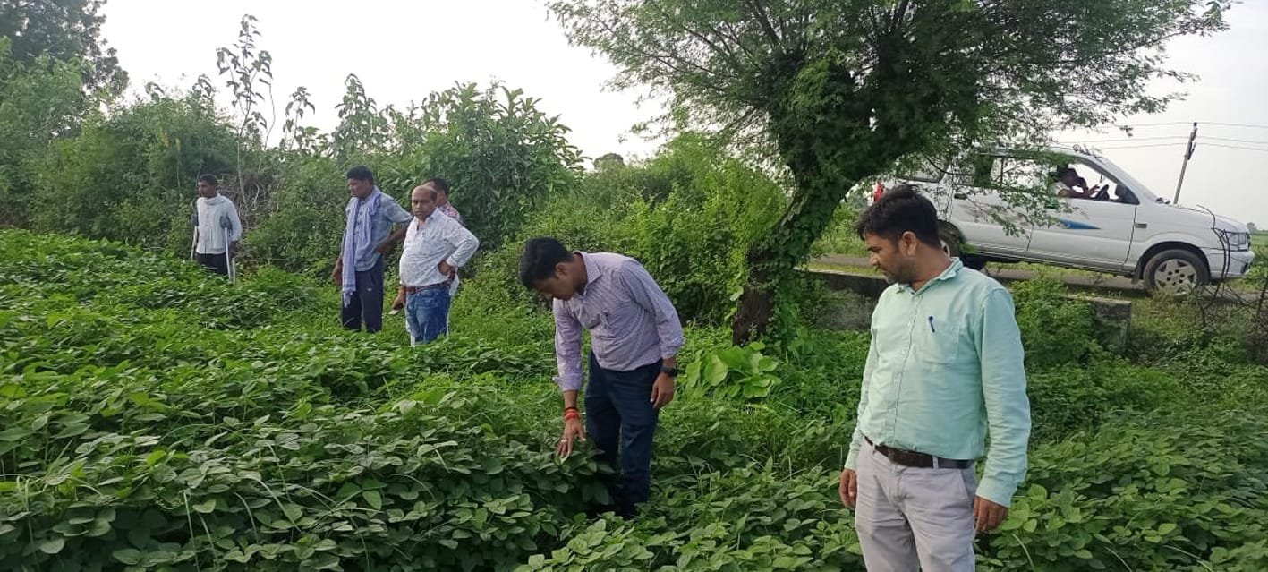 लगातार हो रही बारिश से फसलों के बचाव के संबंध में किसानों को सलाह