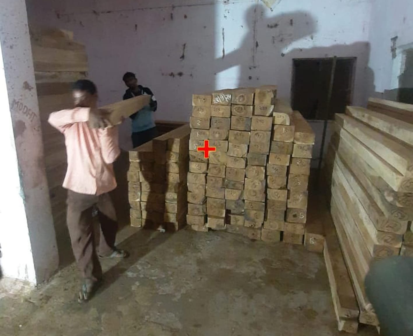 धार वन विभाग की बड़ी कार्यवाही, 40 घन मीटर अवैध सागौन जब्त