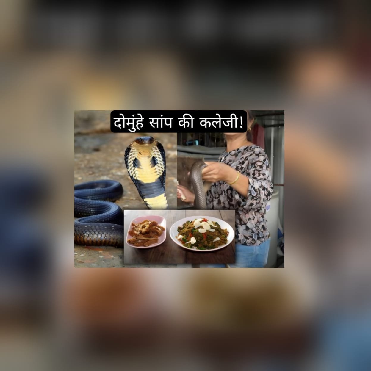 दोमुंहे सांप की कलेजी ! सांच कहै ता/जयराम शुक्ल