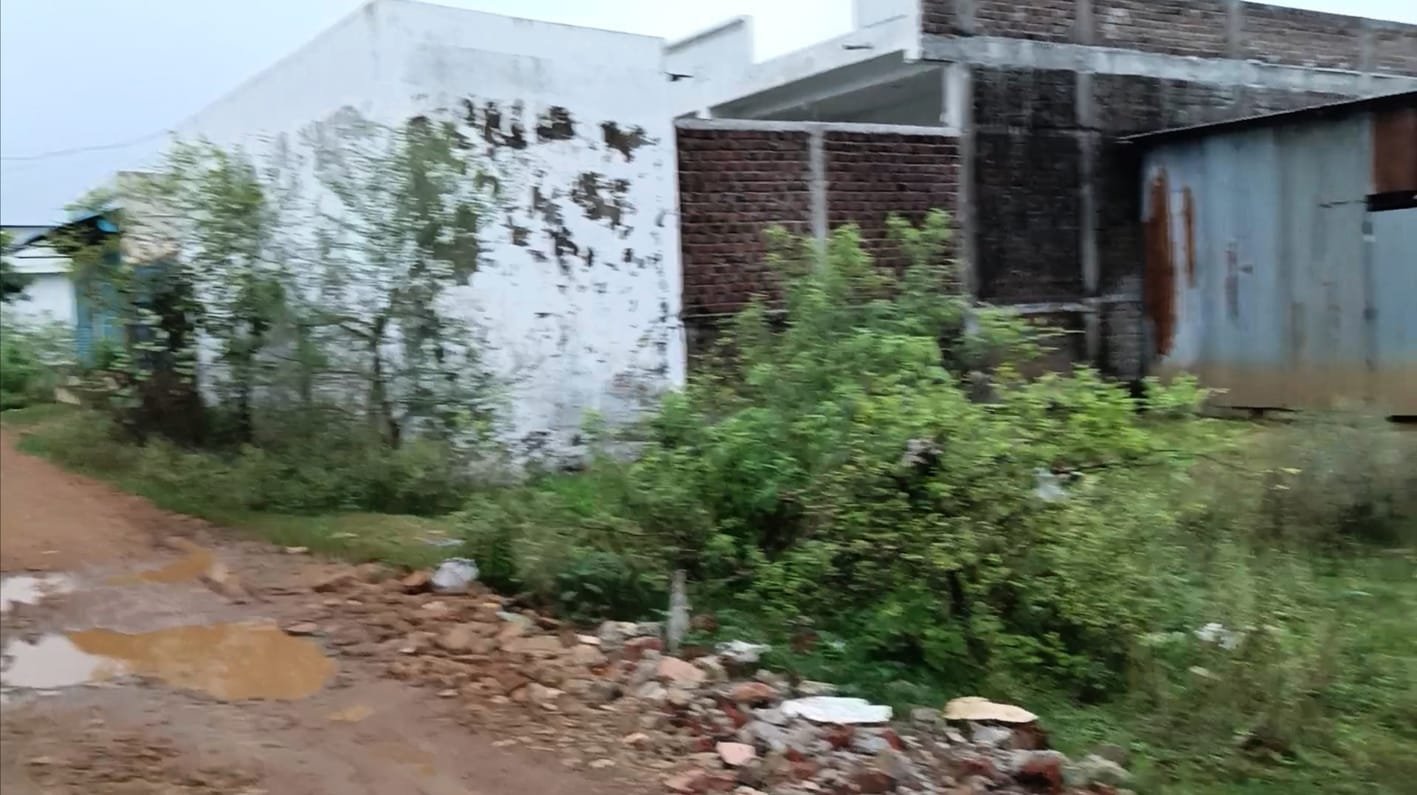 शहर की पैरासिटी कॉलोनी में ना नाली ना ही सड़क-जहरीले जीव जंतुओं का हमेशा बना रहता है डर