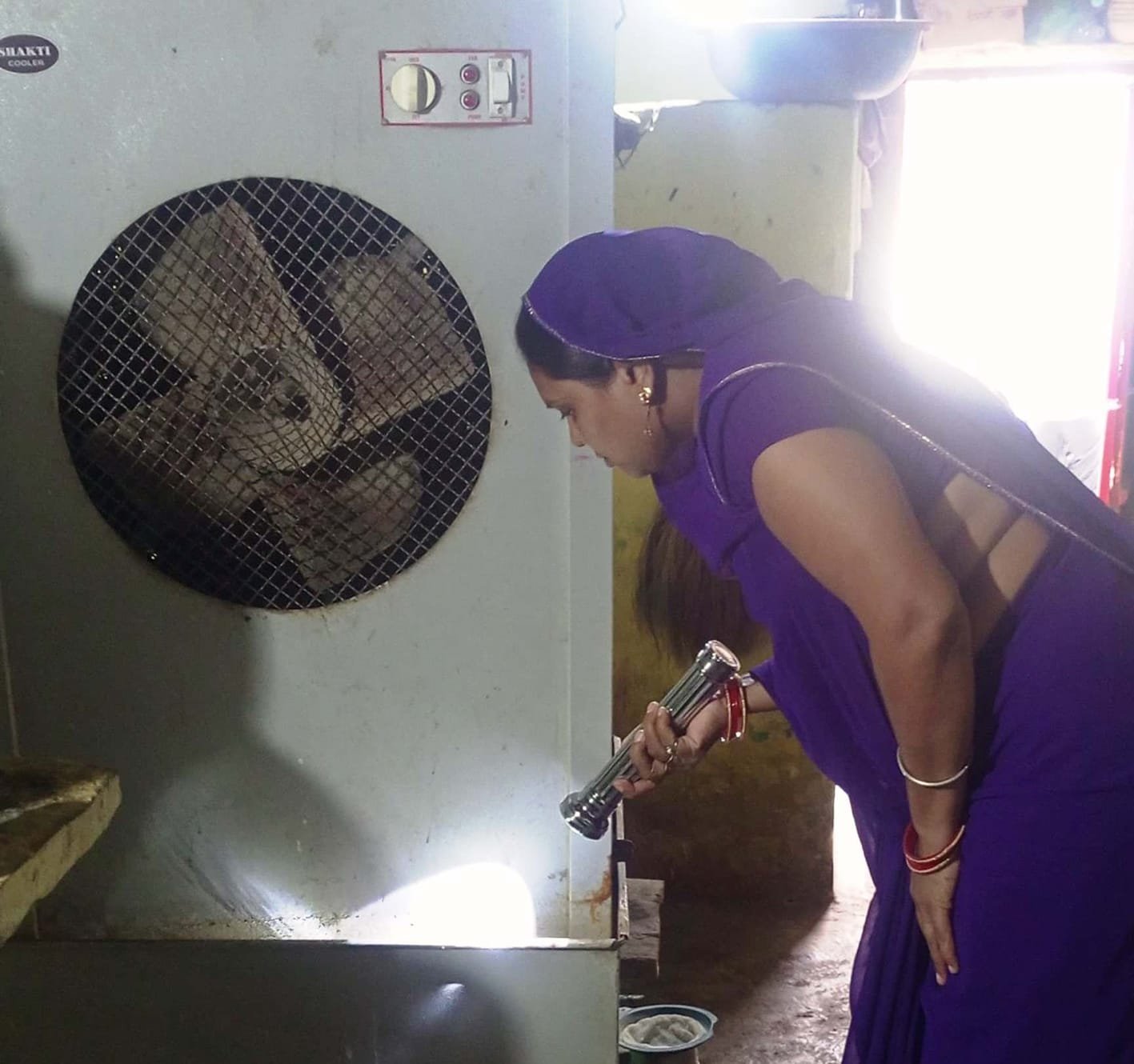 ग्राम मसनगांव में डेंगू नियंत्रण हेतु की कार्यवाही