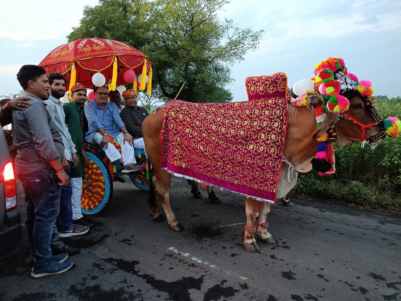 सजी-धजी बैलगाड़ियों पर सवार होकर मनाया दशहरा पर्वअरूण यादव और सचिन यादव ने देश-प्रदेश में अमन-चैन,सुख-शांति और समृद्धि की कामना