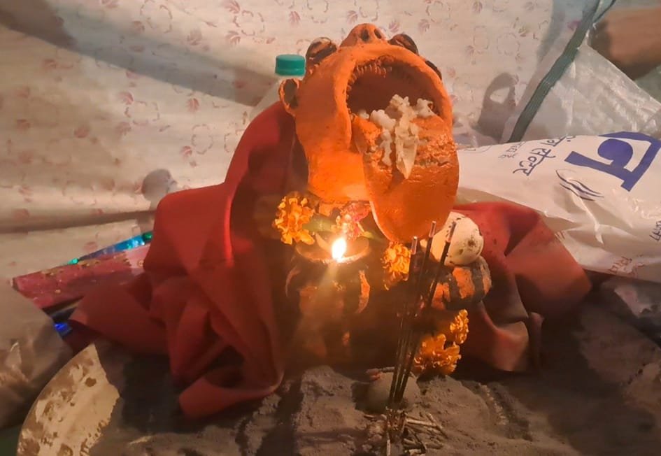 आस्था :  सोहागपुर में लगा तांत्रिकों का मेला