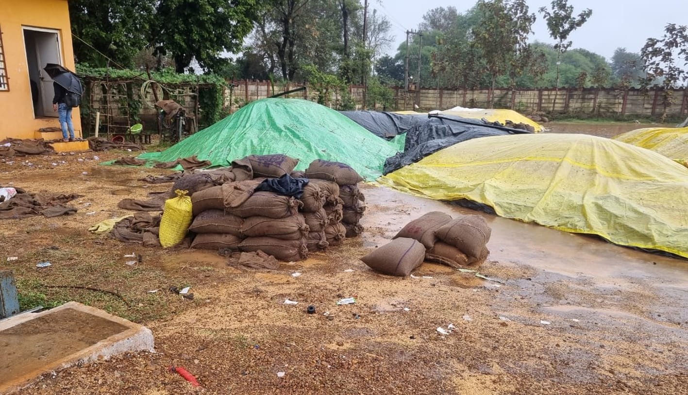 बेमौसम बारिश ने मचाई तबाही, कई गांवों में फसल बर्बाद