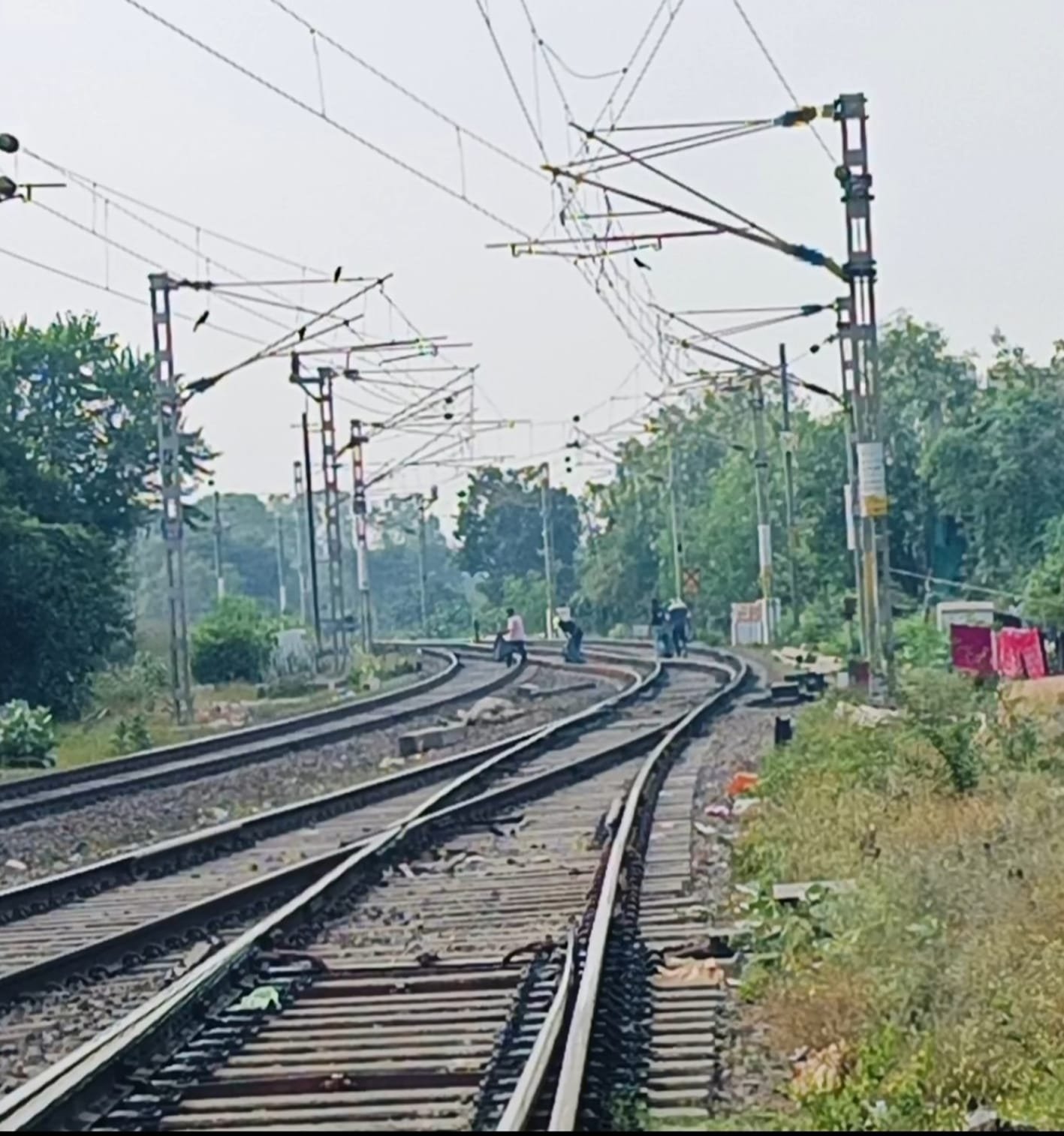 ट्रैन की चपेट में आने से गाय की मौत