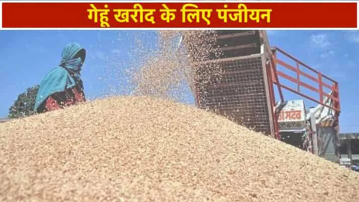 समर्थन मूल्य पर गेहूँ उपार्जन हेतु पंजीयन कल से