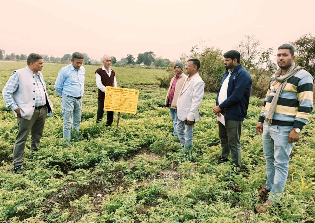 जिला स्तरीय डायग्नोस्टिक टीम एवं कृषि वैज्ञानिकों ने फसलों का किया निरीक्षण