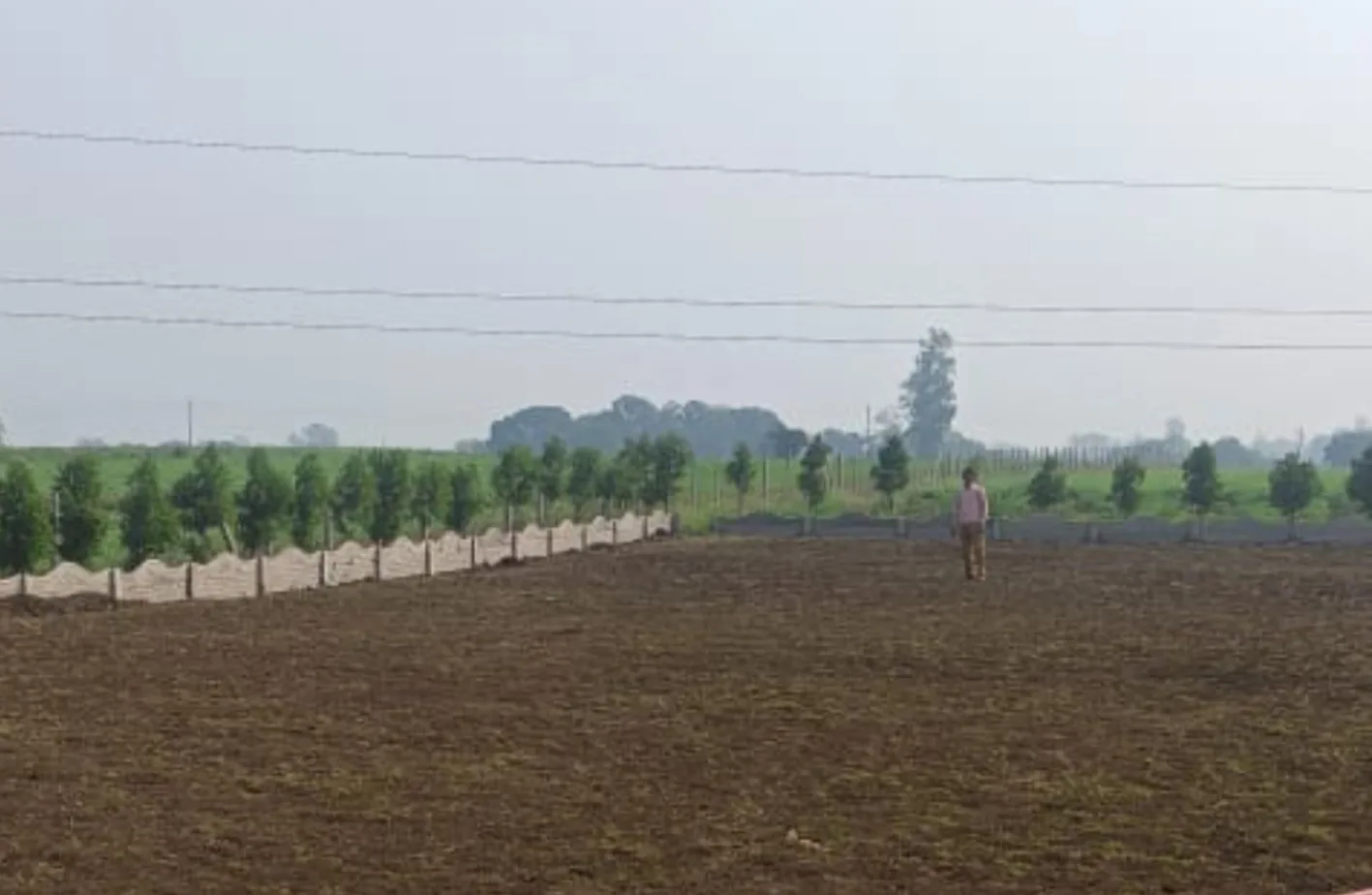 खेत में नीचे झूल रहे ३३ केव्ही के तार, हादसे की आशंका