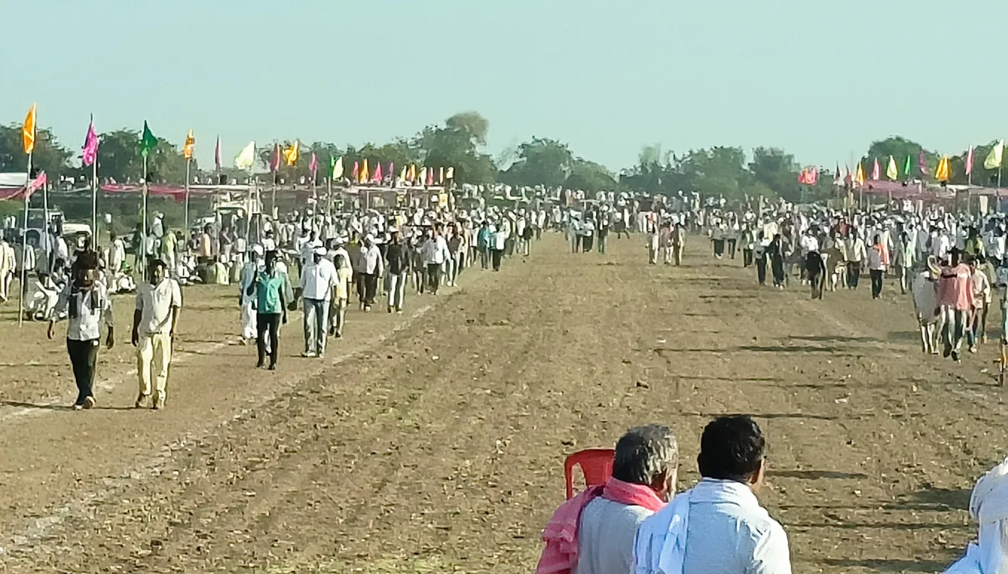 हरदा की बैल जोड़ी ने जीता पहला २५ हजार का पुरुस्कार