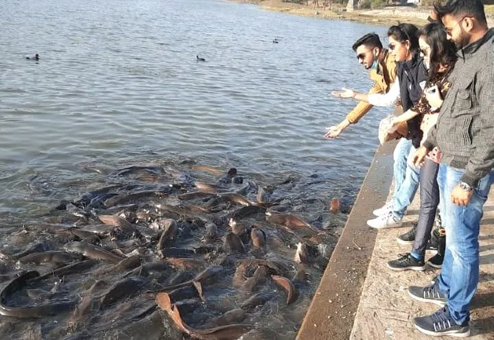 नर्मदा जयंती के उपलक्ष्य में मछलियों और जल जीवो के लिए भी होगा भंडारा