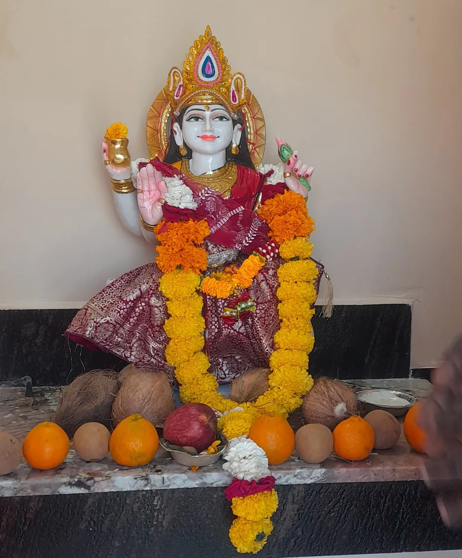 नवनिर्मित मंदिर में हुई मां नर्मदा की प्राण-प्रतिष्ठा  
