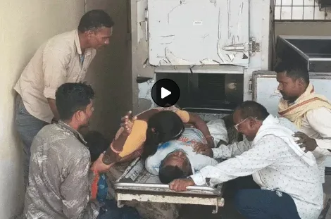 खेत की सफाई के दौरान मधुमक्खियों का हमला