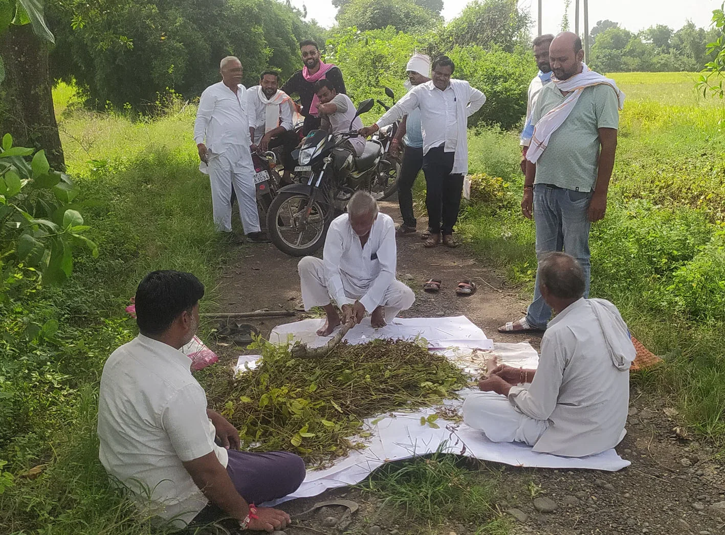 किसान के  खेत में फसल कटाई प्रयोग