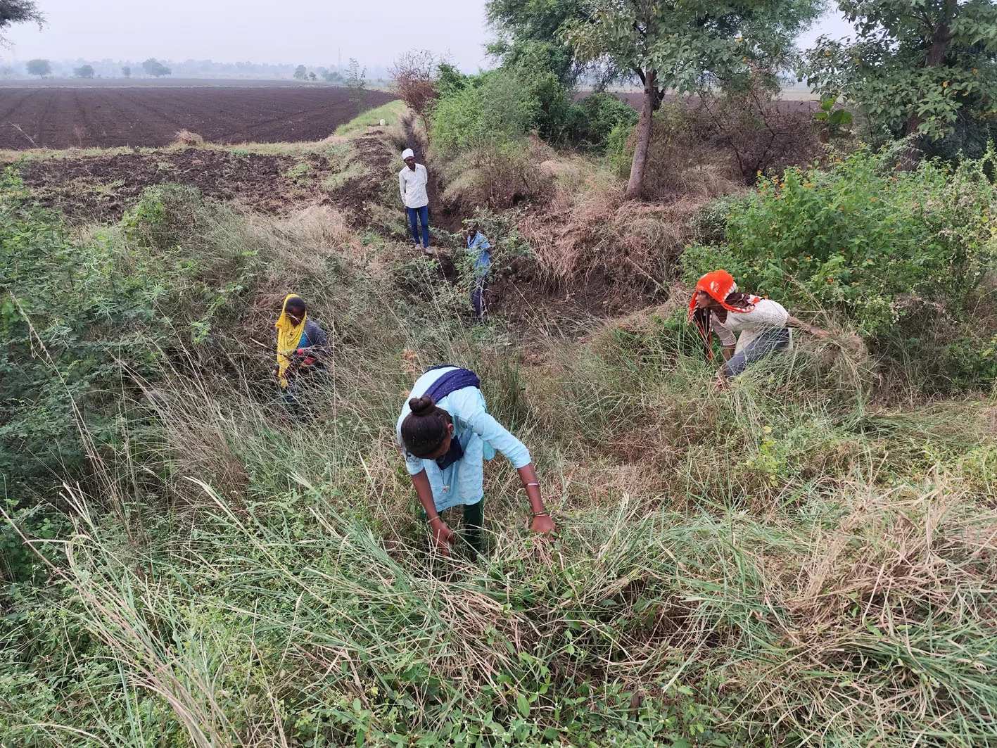 नहर में पानी छोड़ने से पहले कलेक्टर ने किया निरीक्षण