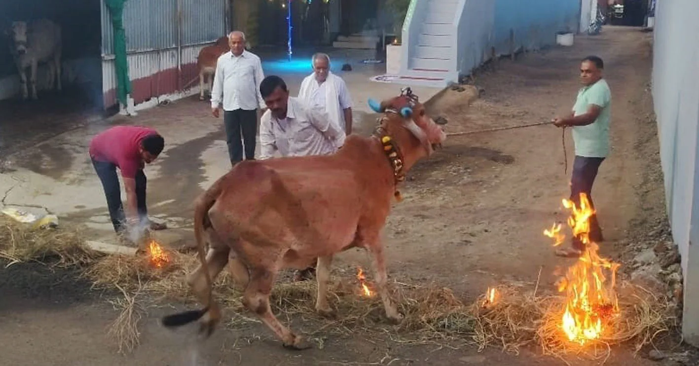 अनोखी परंपरा…