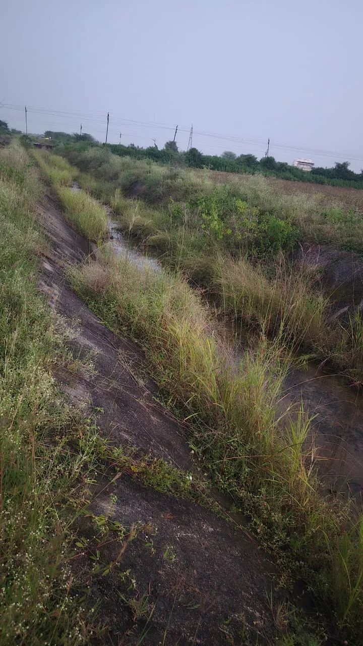 पंचायत में बंद पड़ी मनरेगा योजना, घर बैठे मजदूर  