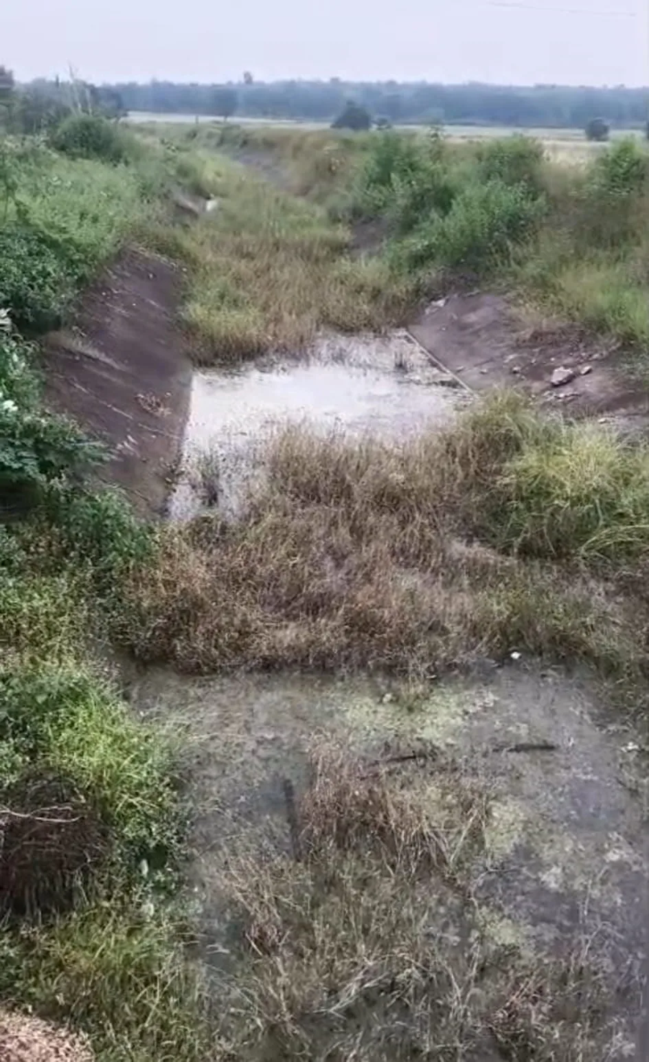 तीन साल से नहीं हुई सफाई