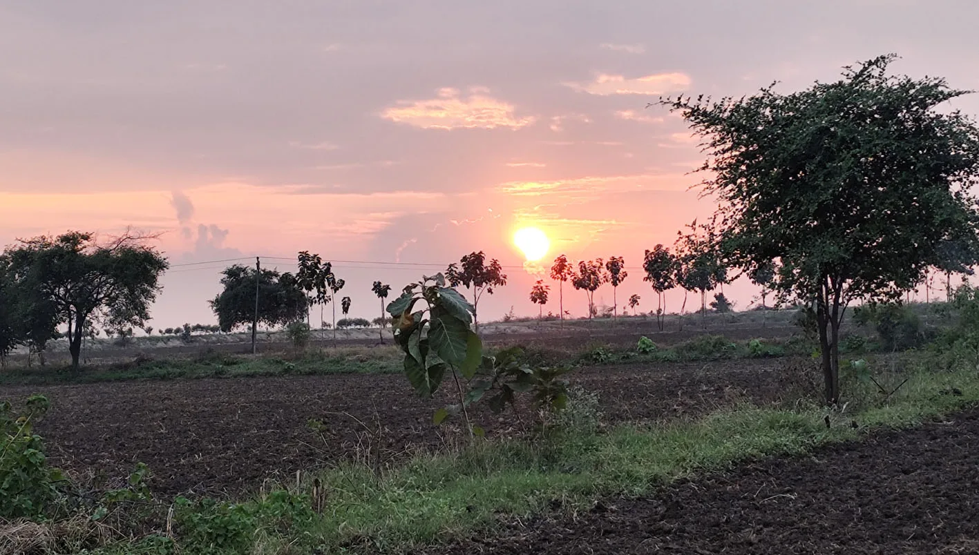 नवंबर में अब तक नहीं बढ़ी ठंड, दिन में गर्मी से परेशान लोग