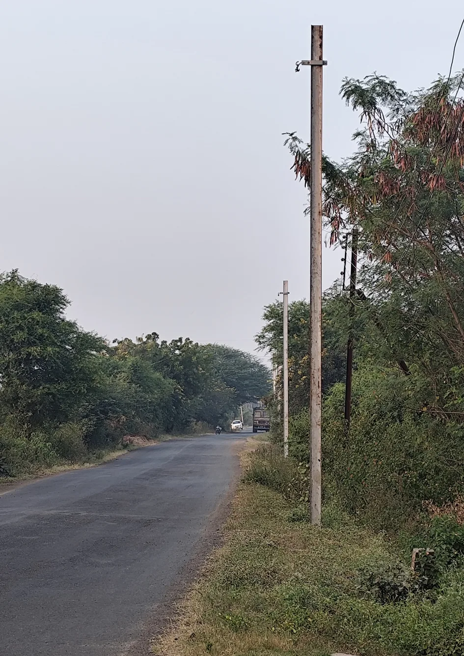 नए खंबे और तार लगाने के बाद भी कनेक्शन जोड़ना भूल गई विद्युत कंपनी