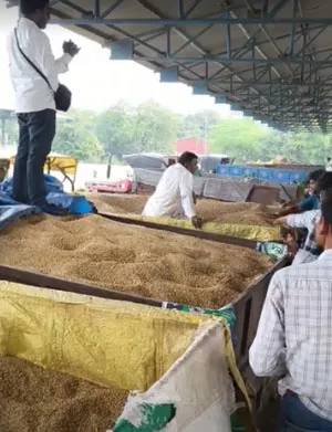 भावांतर के भवर में फंसे किसान