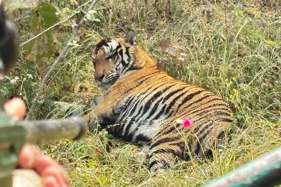 निर्धारित समय से इतर जाकर मुख्यालय की वीसी से हलाकान मैदानी अफसर