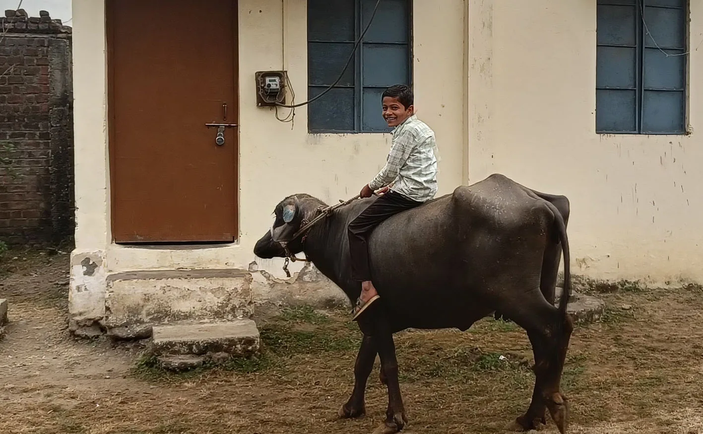 ग्रामीण बचपन की यादों को ताजा करता अनोखा दृश्य