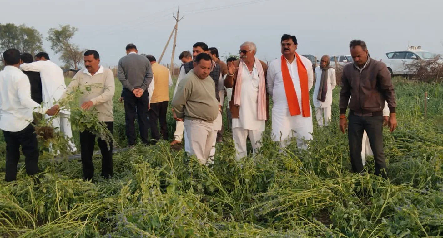 पूर्व मंत्री कमल पटेल ने अतिवृष्टि और ओलावृष्टि से प्रभावित गांवों में फसल निरीक्षण किया