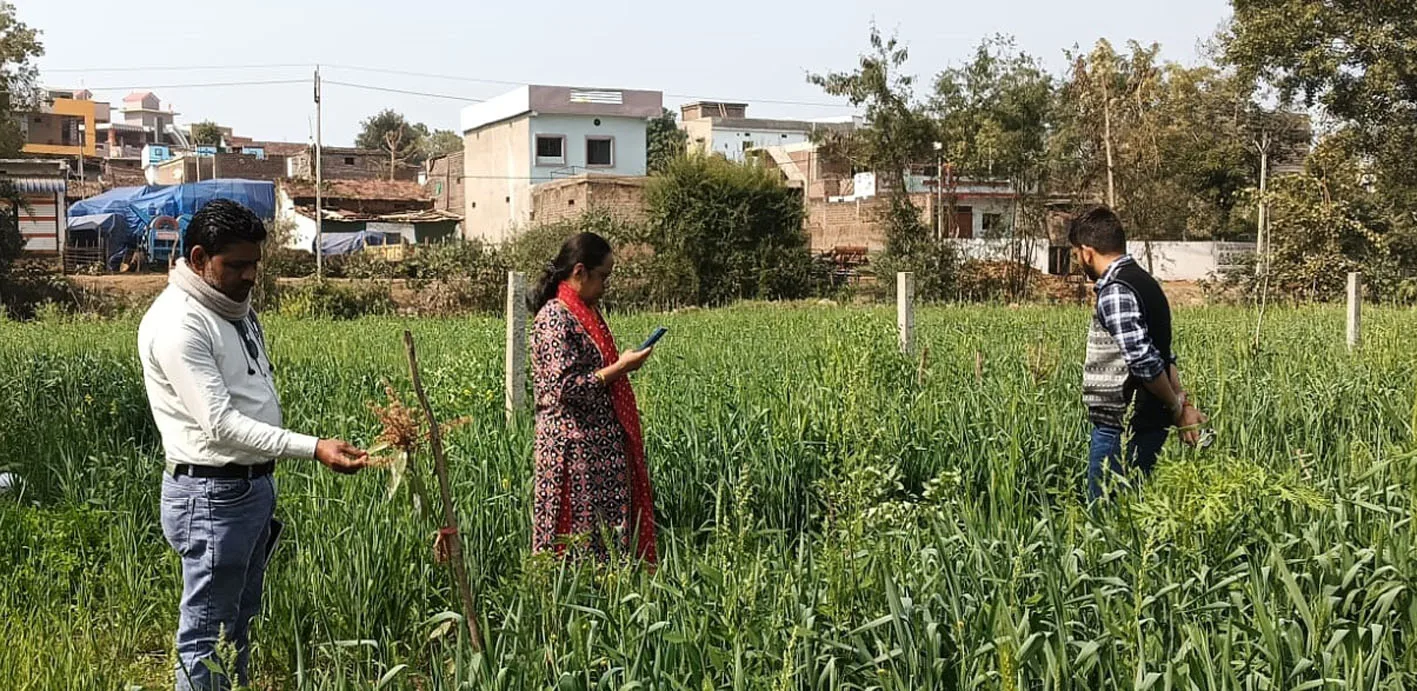 जिपं सीईओ ने विभिन्न विकास कार्यों का किया निरीक्षण  