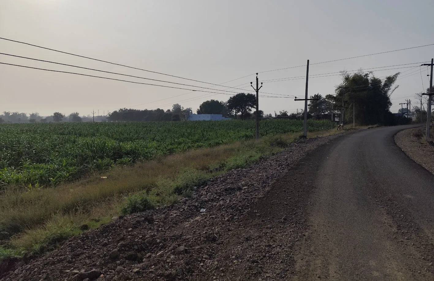 विद्युत विभाग की लापरवाही