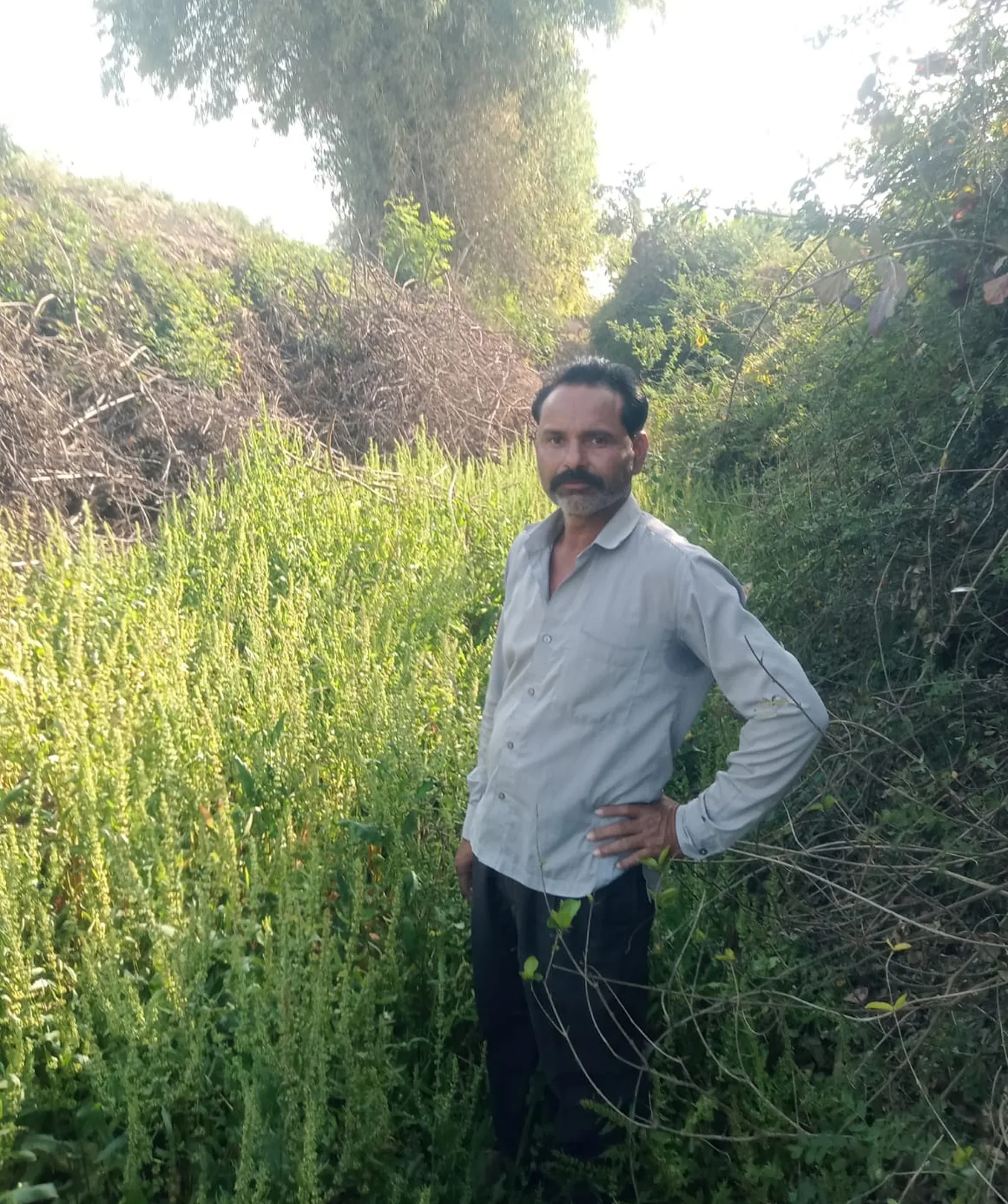 बिल्लोद-भवरास से लाख्याखेड़ी तक 2.5 किमी डामर सड़क निर्माण की मांग