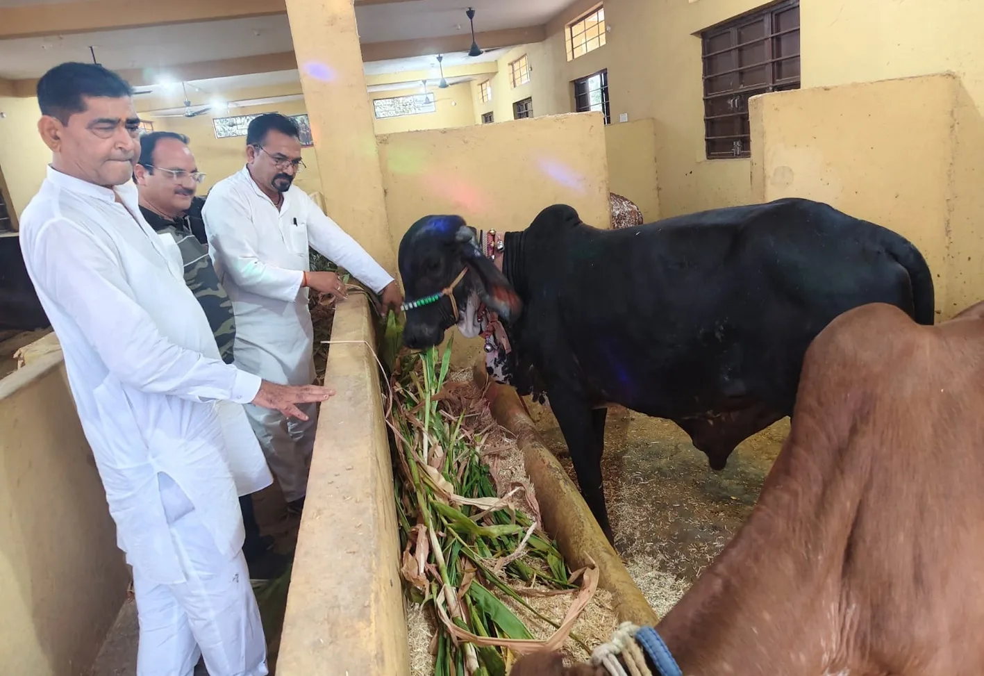 नन्ही बिटिया दिव्यांशी की अनोखी पहल