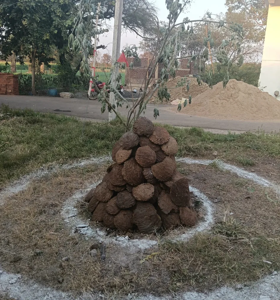 हरदा में पर्यावरण संरक्षण की अनूठी पहल