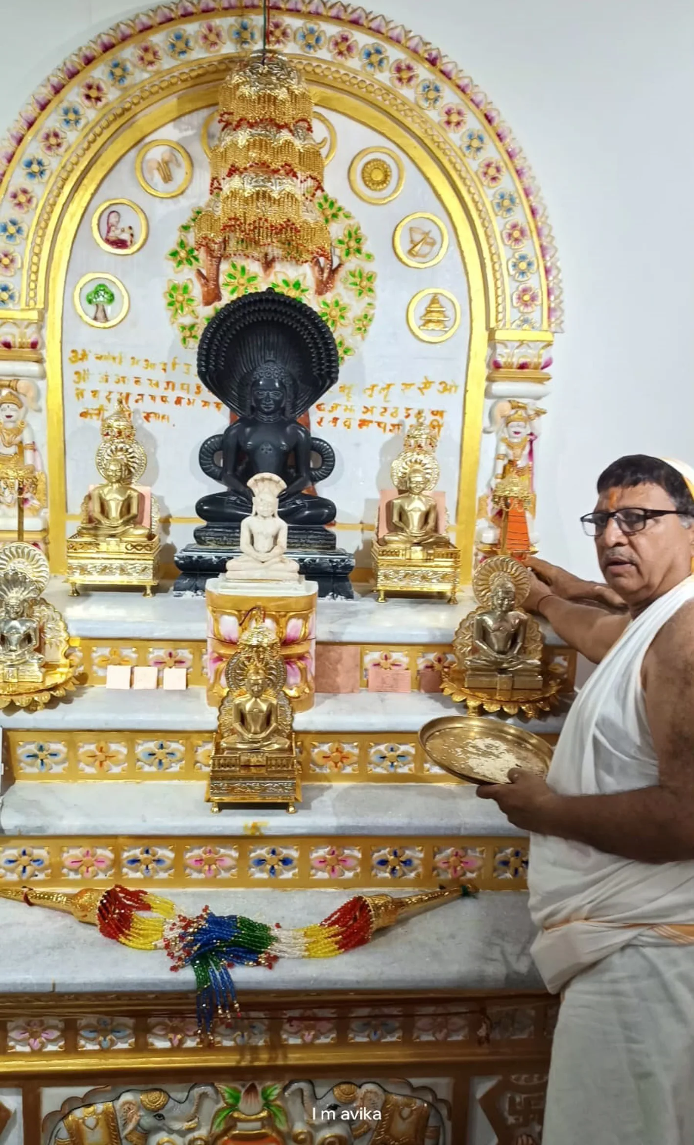 नवनिर्मित वेदी पर विराजमान हुआ भगवान पारसनाथ का समोशरण