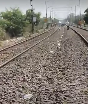 गायों को आश्रम से चुराकर रेलवे ट्रैक पर बांधी, पांच गायों की मौत